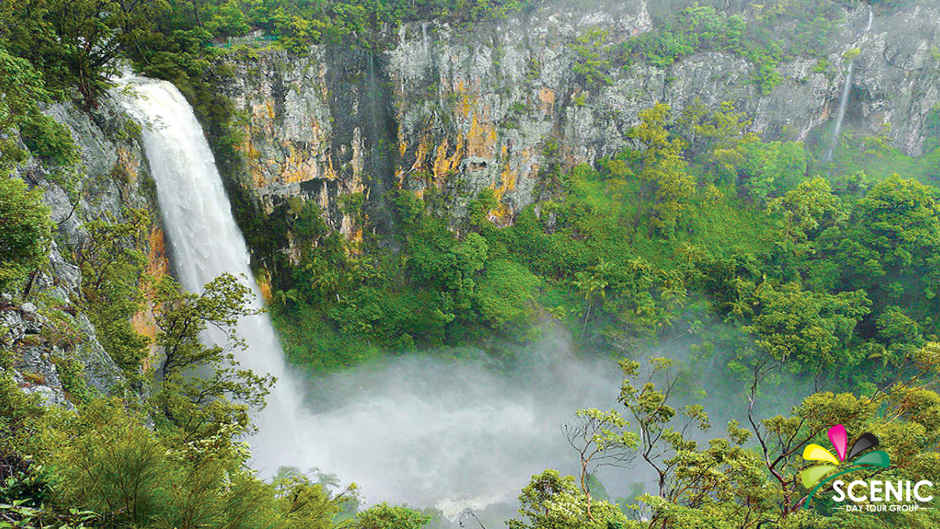 Prepare to be blown away by the majestic beauty of natural Australia!  Stunning ranges, ancient forests and cascading waterfalls ignore modern change as they continue their dance through time.
